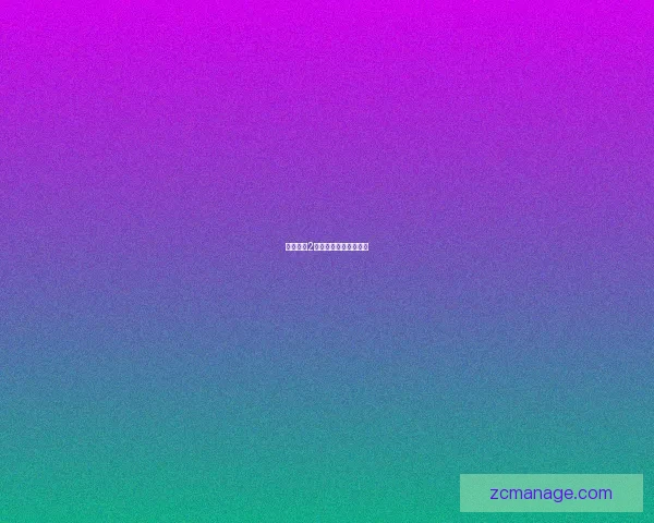 火炬之光2物理双枪加点攻略指南