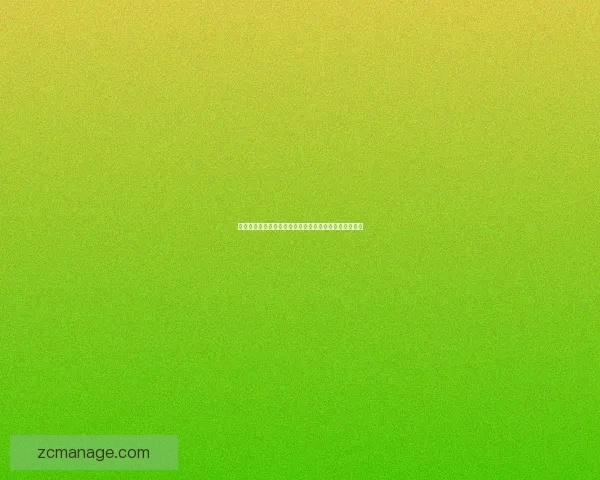 精灵宝可梦新世代探索：神秘区域与全新伙伴的冒险之旅